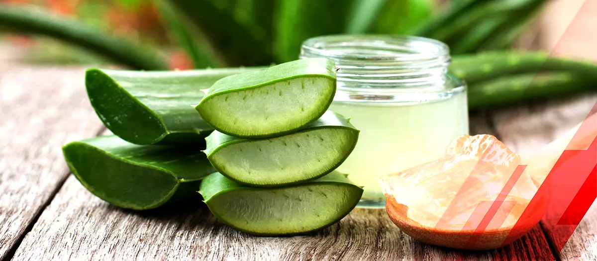 Aloe Vera Extract: Harnessing Nature's Antioxidant Potency for Wellness